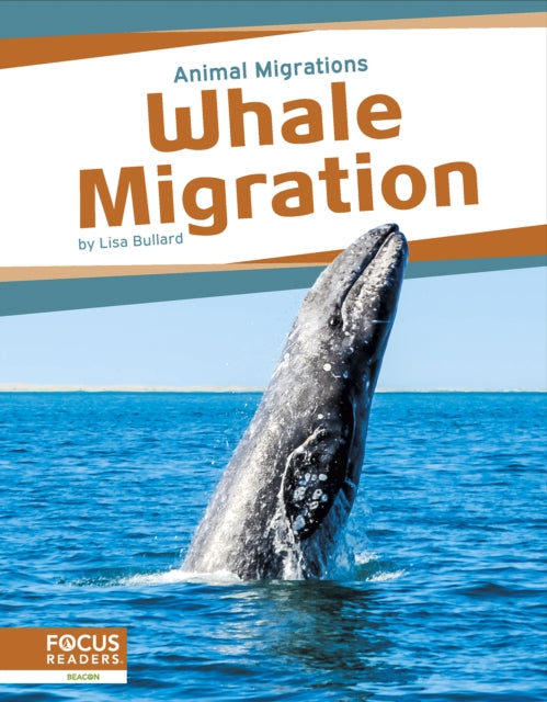Whale Migration By Lisa Bullard