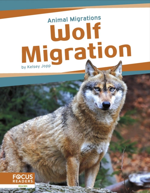 Wolf Migration By Kelsey Jopp