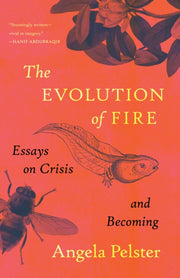 Evolution Of Fire