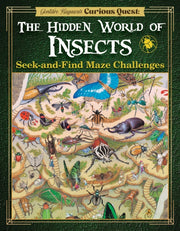 Insect Seek & Find Maze Challenge
