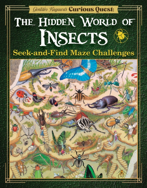 Insect Seek & Find Maze Challenge