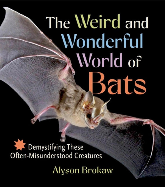 Weird & Wonderful World Of Bats