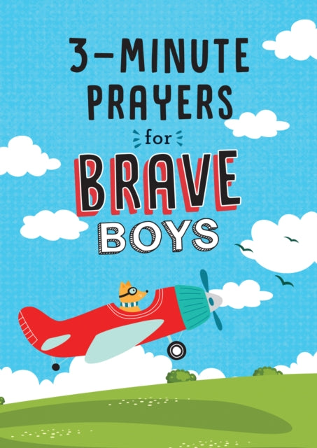 3minute Prayers For Brave Boys