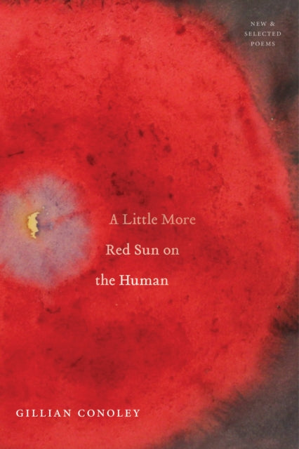 Little More Red Sun On The Human