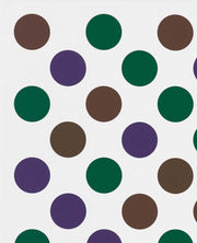 Bridget Riley Past Into Present