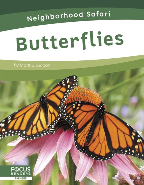 Butterflies By Martha London