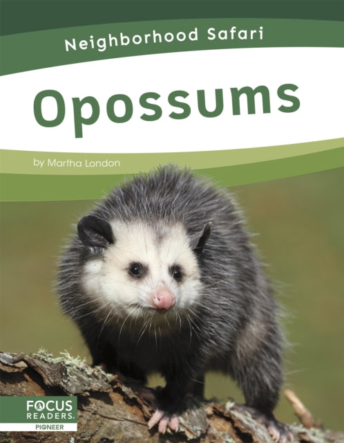 Opossums By Martha London