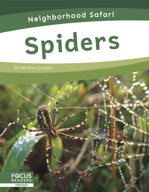 Spiders By Martha London