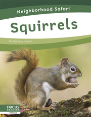 Squirrels By Martha London