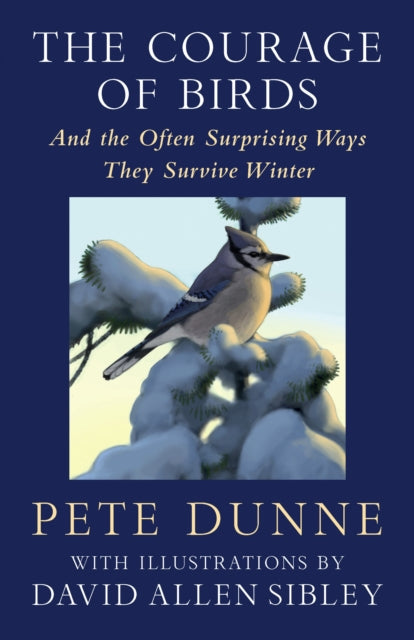 Courage Of Birds