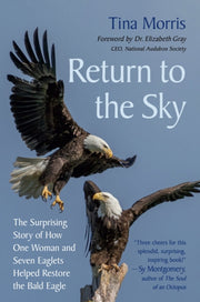 Return To The Sky