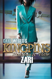 Carl Webers Kingpins Penthouse View