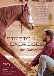 Stretch Exercises For Horses
