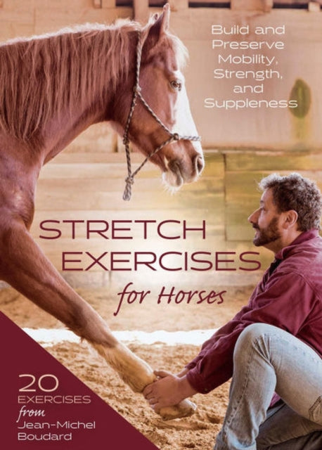 Stretch Exercises For Horses