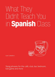 What They Didnt Teach You/spanish Class