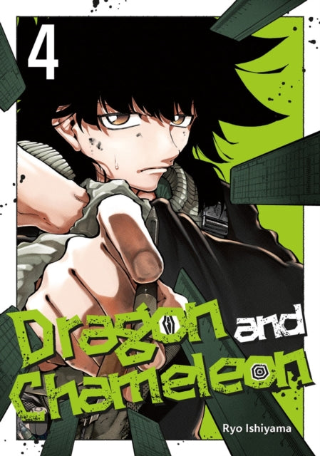 Dragon & Chameleon 04