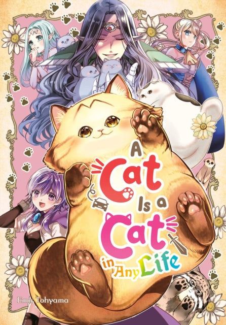 Cat Is A Cat In Any Life