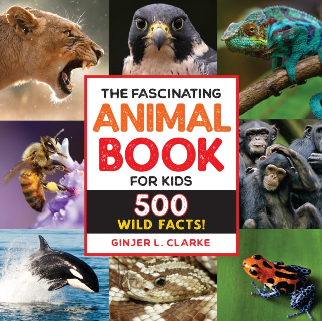 Fascinating Animal Book For Kids By Clarke  Ginjer