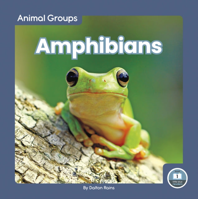Amphibians By Dalton Rains