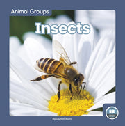 Insects By Dalton Rains