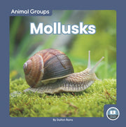 Mollusks By Dalton Rains