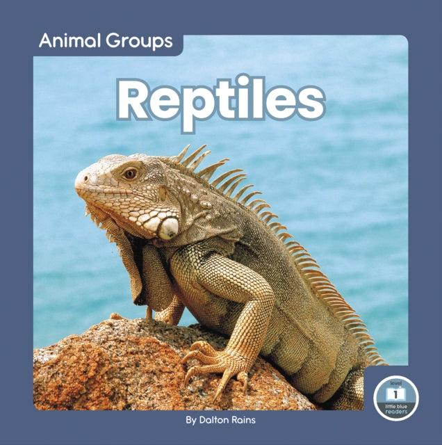 Reptiles By Dalton Rains