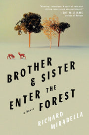 Brother Sister Enter The Forest