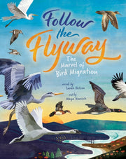 Follow The Flyway
