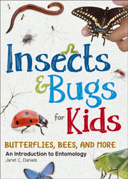 Insects Bugs For Kids