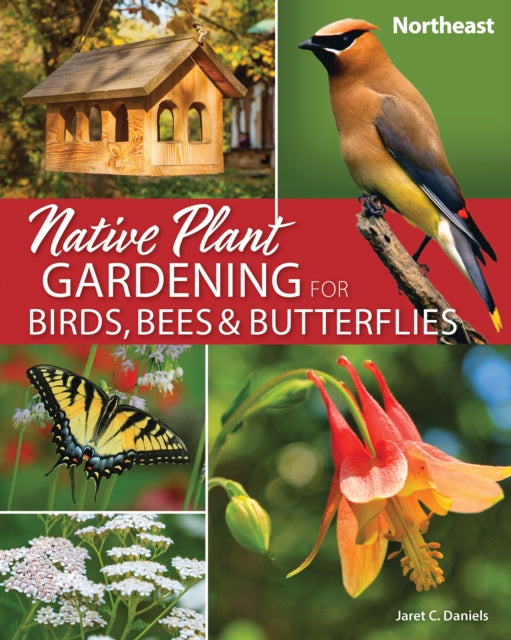 Native Plant Gardening Birds Bees And B