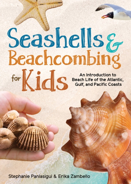 Seashells & Beachcombing For Kids
