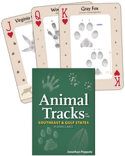 Animal Tracks Of The Southeast Gulf Stat
