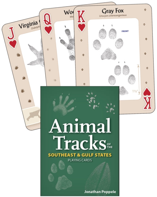 Animal Tracks Of The Southeast Gulf Stat