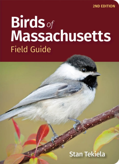 Birds Of Massachusetts Field Guide By Stan Tekiela