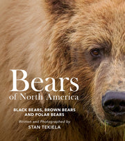 Bears Of North America
