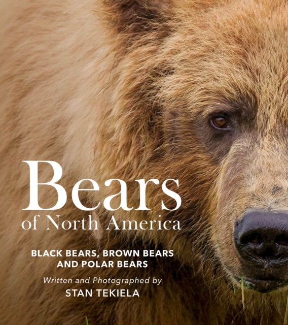 Bears Of North America