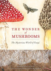 Wonder Of Mushrooms