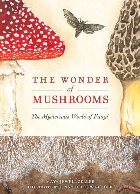 Wonder Of Mushrooms
