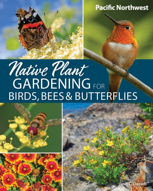 Native Plant Gardening For Birds Bees