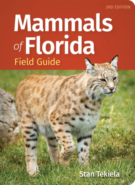 Mammals Of Florida Field Guide