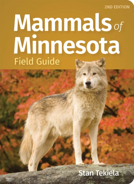 Mammals Of Minnesota Field Guide