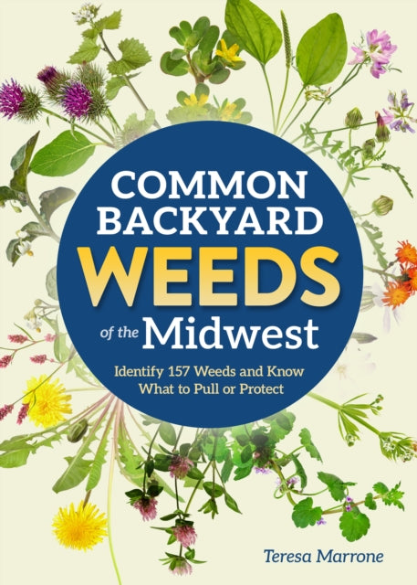 Common Backyard Weeds Of The Midwest By Teresa Marrone