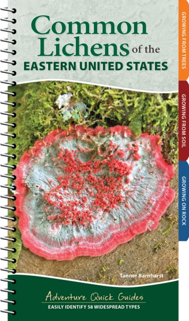 Common Lichens Of The Eastern United St By Tanner Barnharst