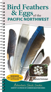 Bird Feathers And Eggs Of The Northwest