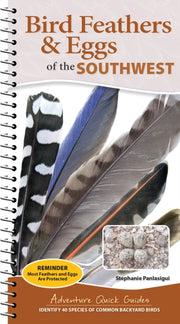 Bird Feathers And Eggs Of The Southwest