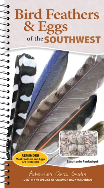 Bird Feathers And Eggs Of The Southwest