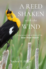 Reed Shaken With The Wind
