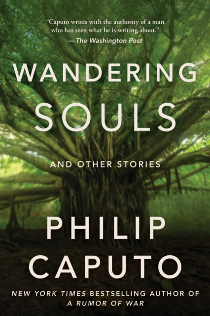 Wandering Souls Ha