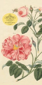 John Derian Paper Goods Everything Roses