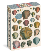 John Derian Paper Goods Shells 1000piece